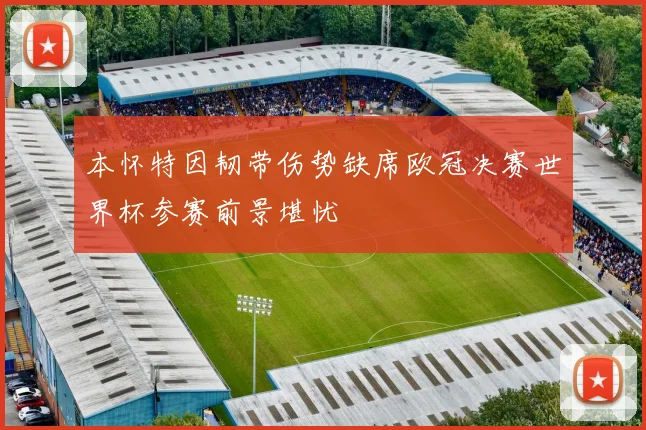 本怀特因韧带伤势缺席欧冠决赛世界杯参赛前景堪忧